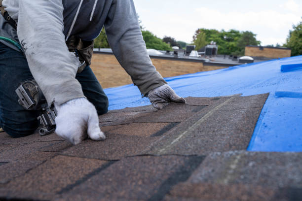 Best Roof Waterproofing Services  in Mayville, MI