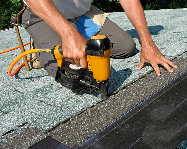 Best Storm Damage Roof Repair  in Mayville, MI