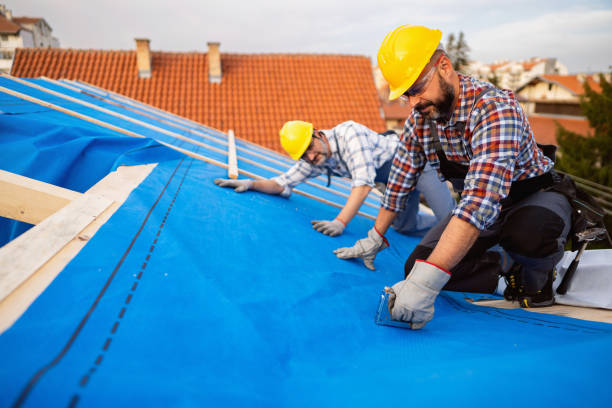 Best Storm Damage Roof Repair  in Mayville, MI