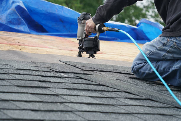 Best Roof Waterproofing Services  in Mayville, MI