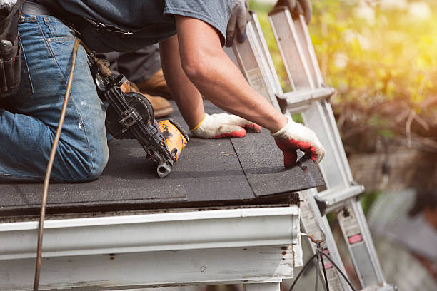 Best Roof Restoration Services  in Mayville, MI