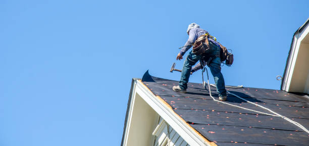 Best New Roof Installation  in Mayville, MI